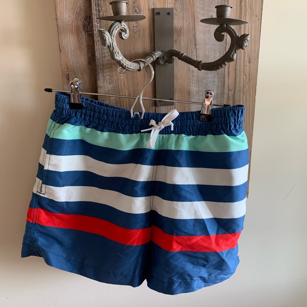 Chubbies The Me Likey the Stripey 5.5” inseam